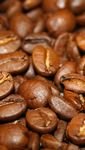 pic for Coffee Beans 